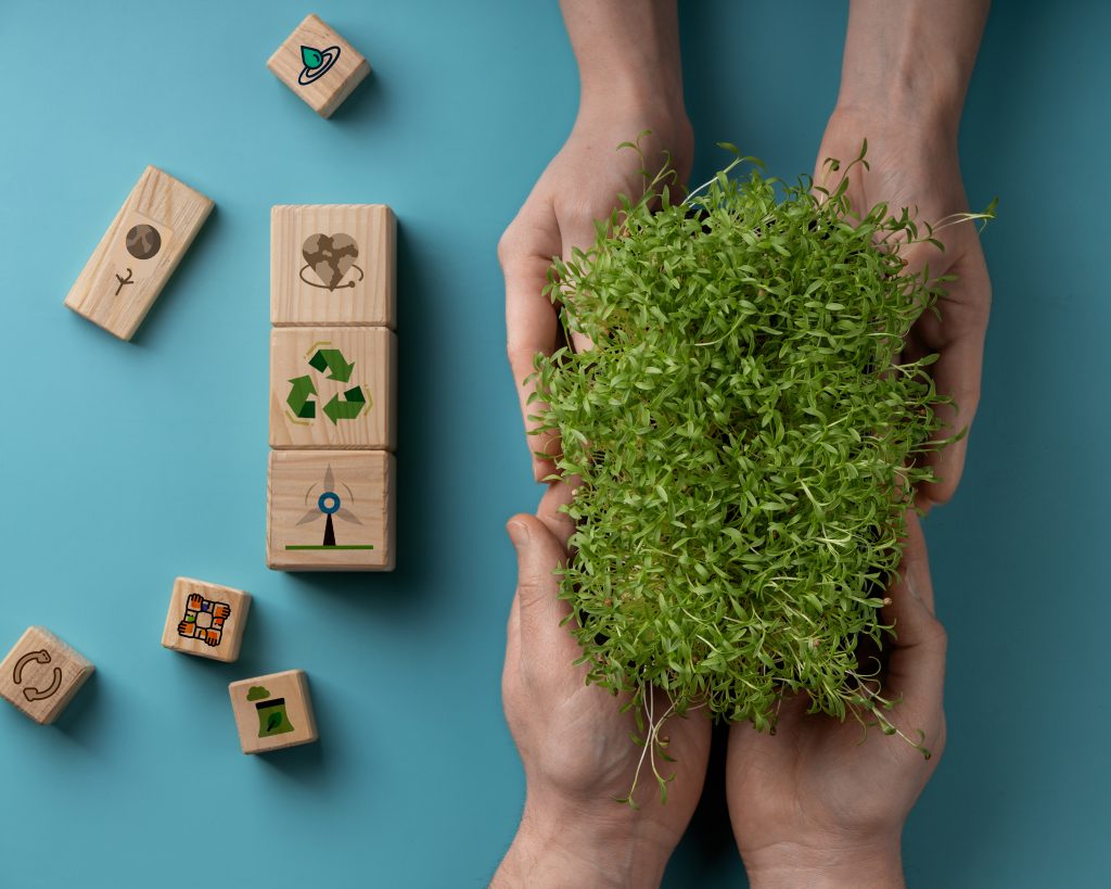 Integrar Sostenibilidad en la empresa: un imperativo.